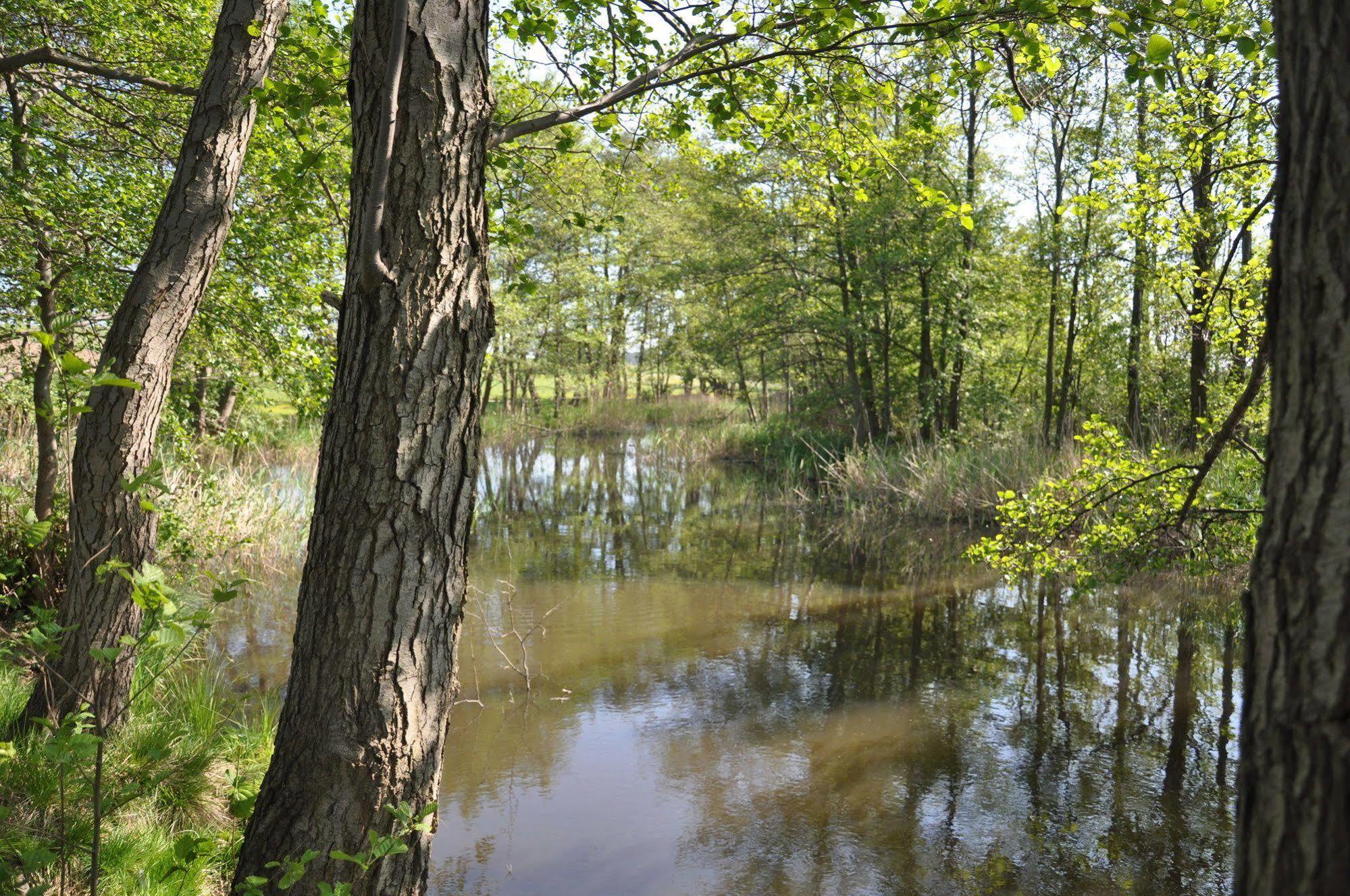 Hotel am Gothensee Heringsdorf  Buitenkant foto